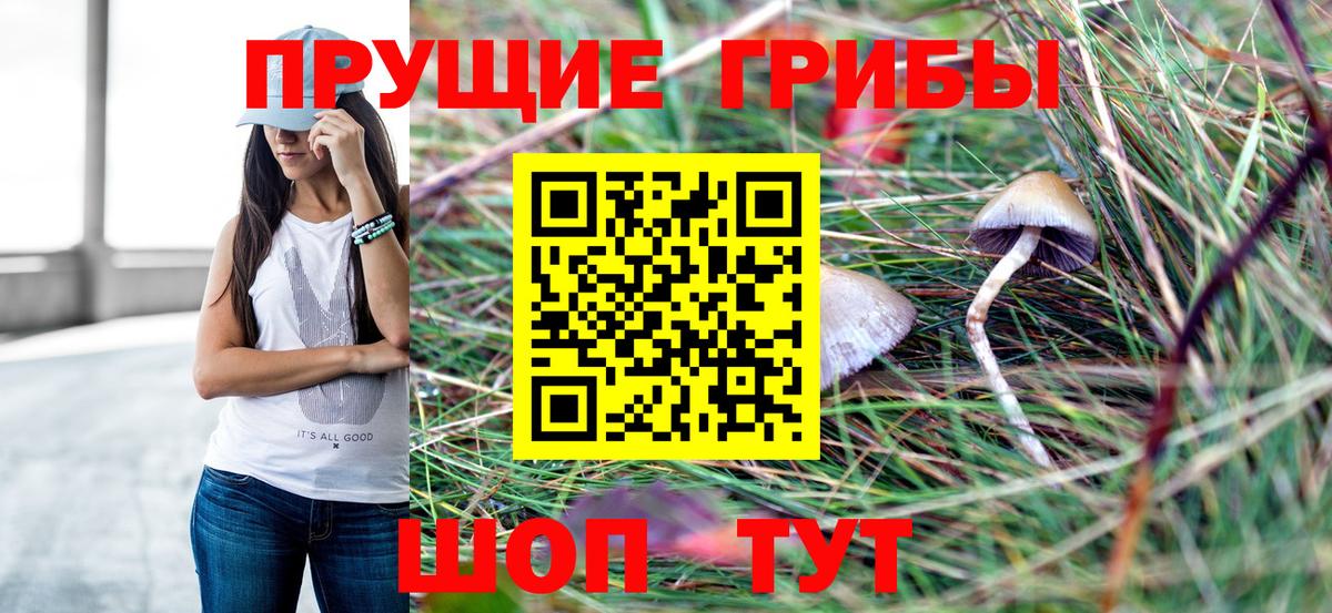 Галлюциногенные грибы мухоморы Великий Новгород